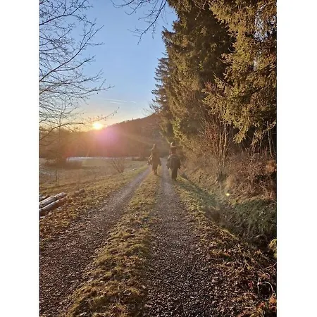 With 1 Bedroom Oberbach